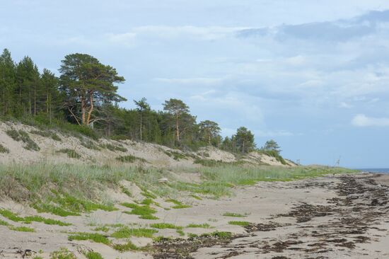 Expedition of Institute for Environmental Issues of the North to White Sea