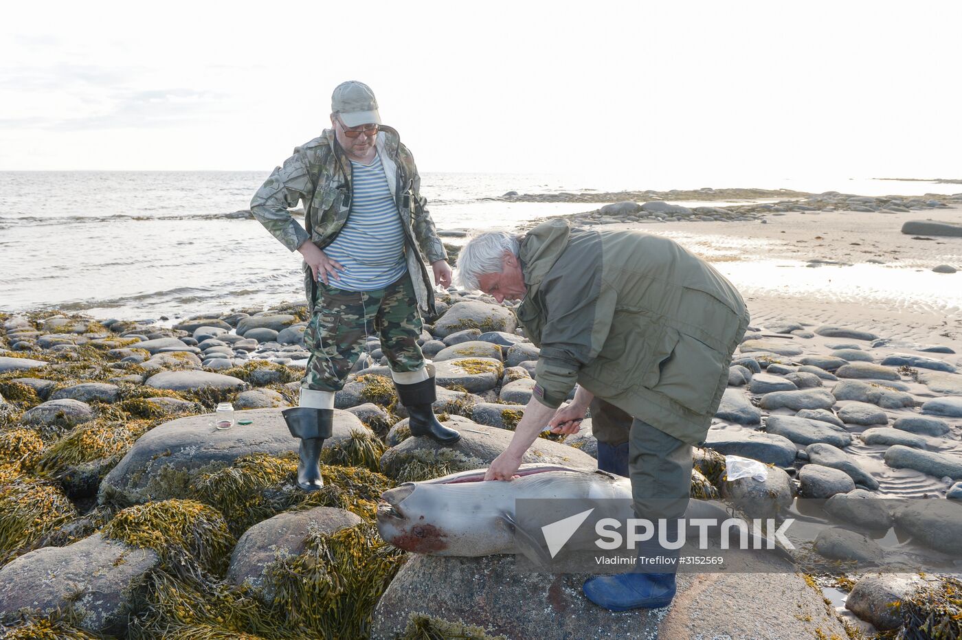 Expedition of Institute for Environmental Issues of the North to White Sea