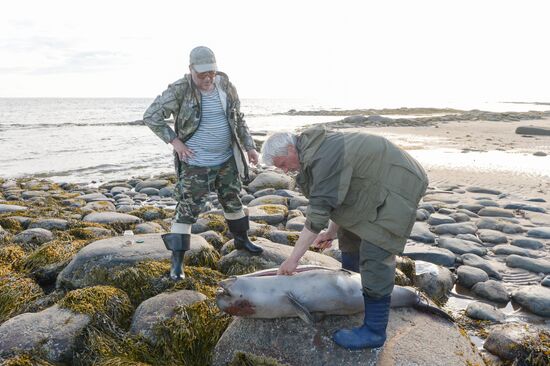 Expedition of Institute for Environmental Issues of the North to White Sea