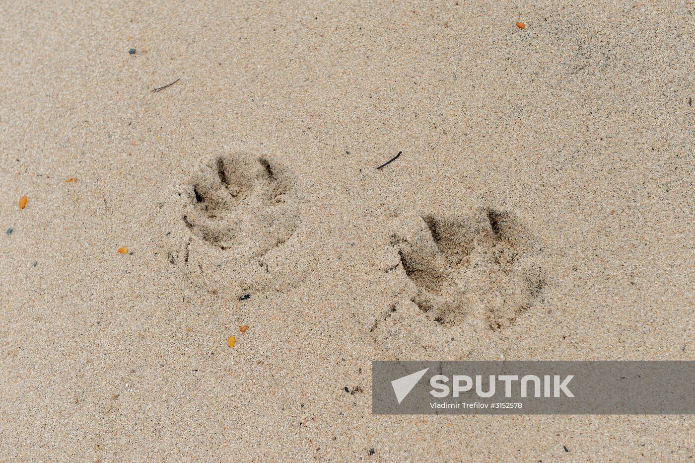 Expedition of Institute for Environmental Issues of the North to White Sea