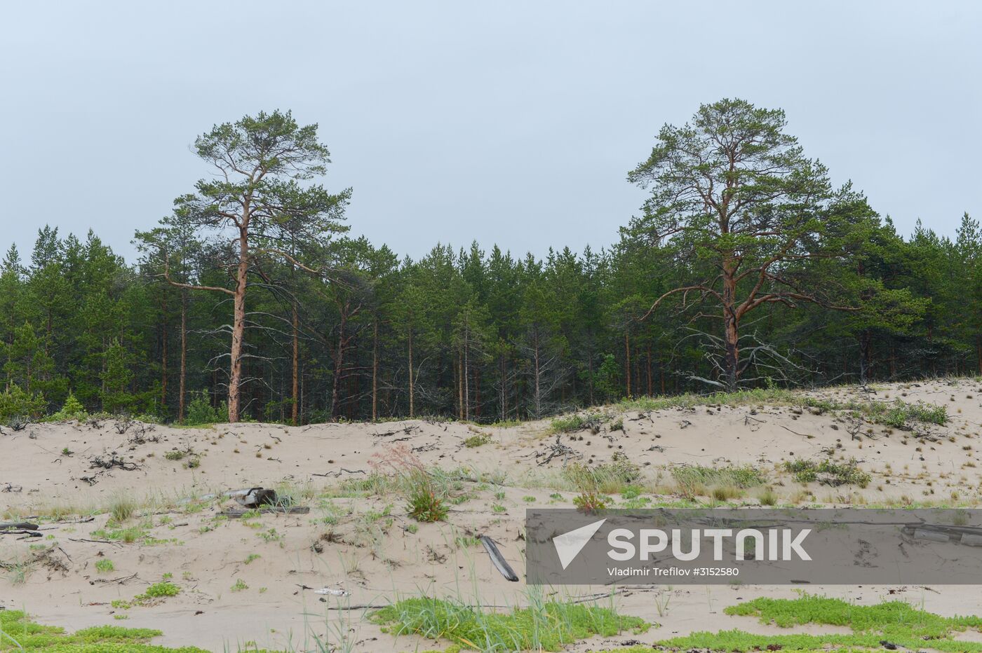 Expedition of Institute for Environmental Issues of the North to White Sea