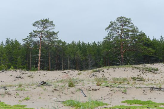 Expedition of Institute for Environmental Issues of the North to White Sea