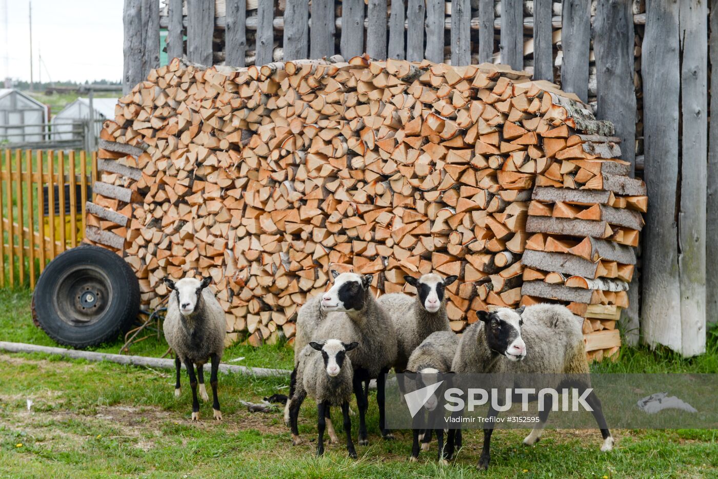 Expedition of Institute for Environmental Issues of the North to White Sea