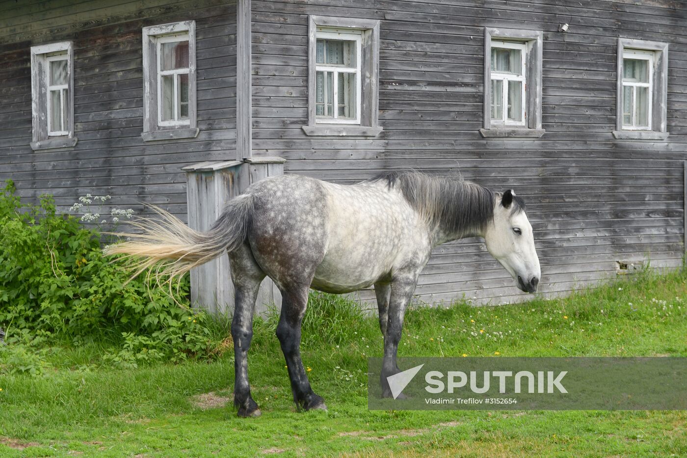 Institute for Environmental Issues of the North expedition to White Sea