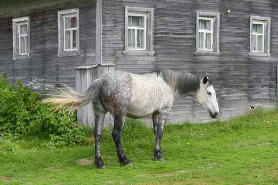 Institute for Environmental Issues of the North expedition to White Sea