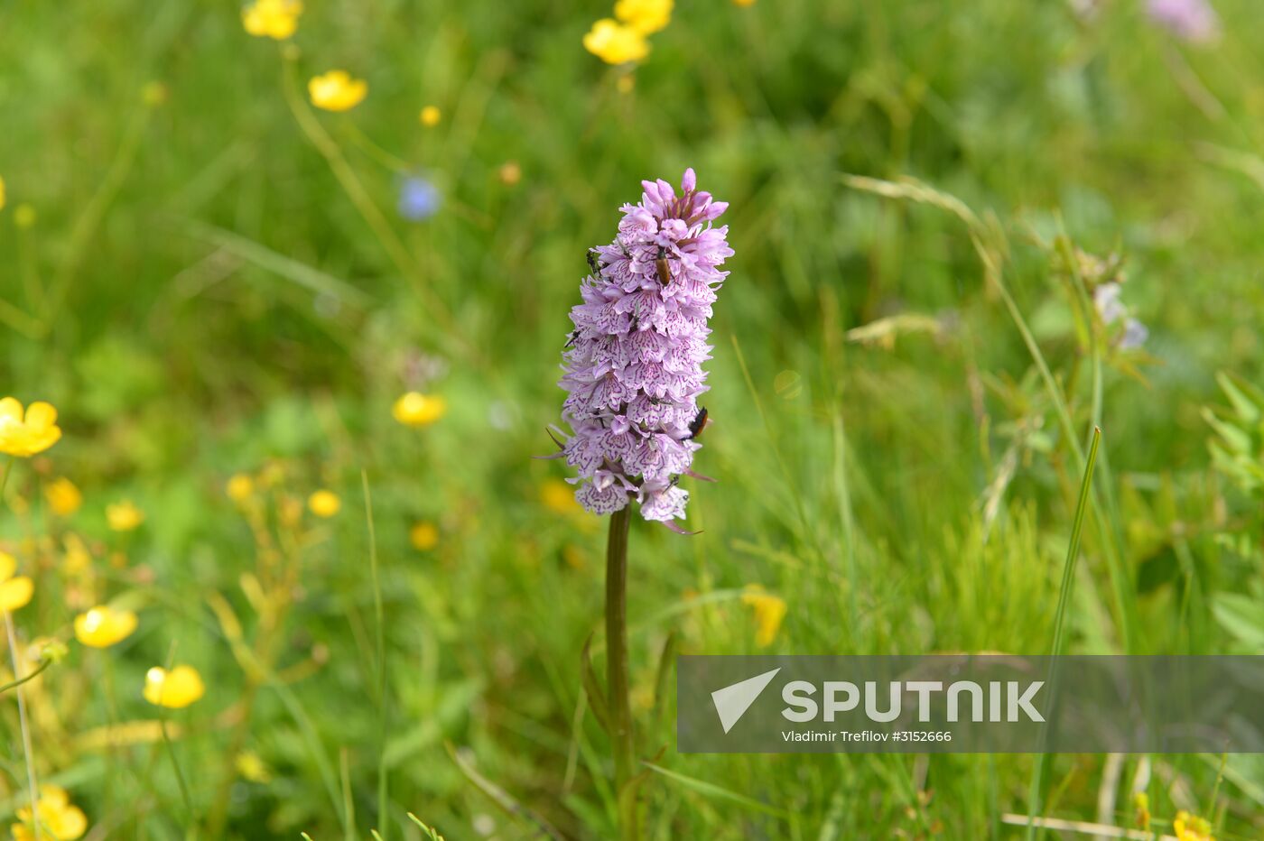 Institute for Environmental Issues of the North expedition to White Sea