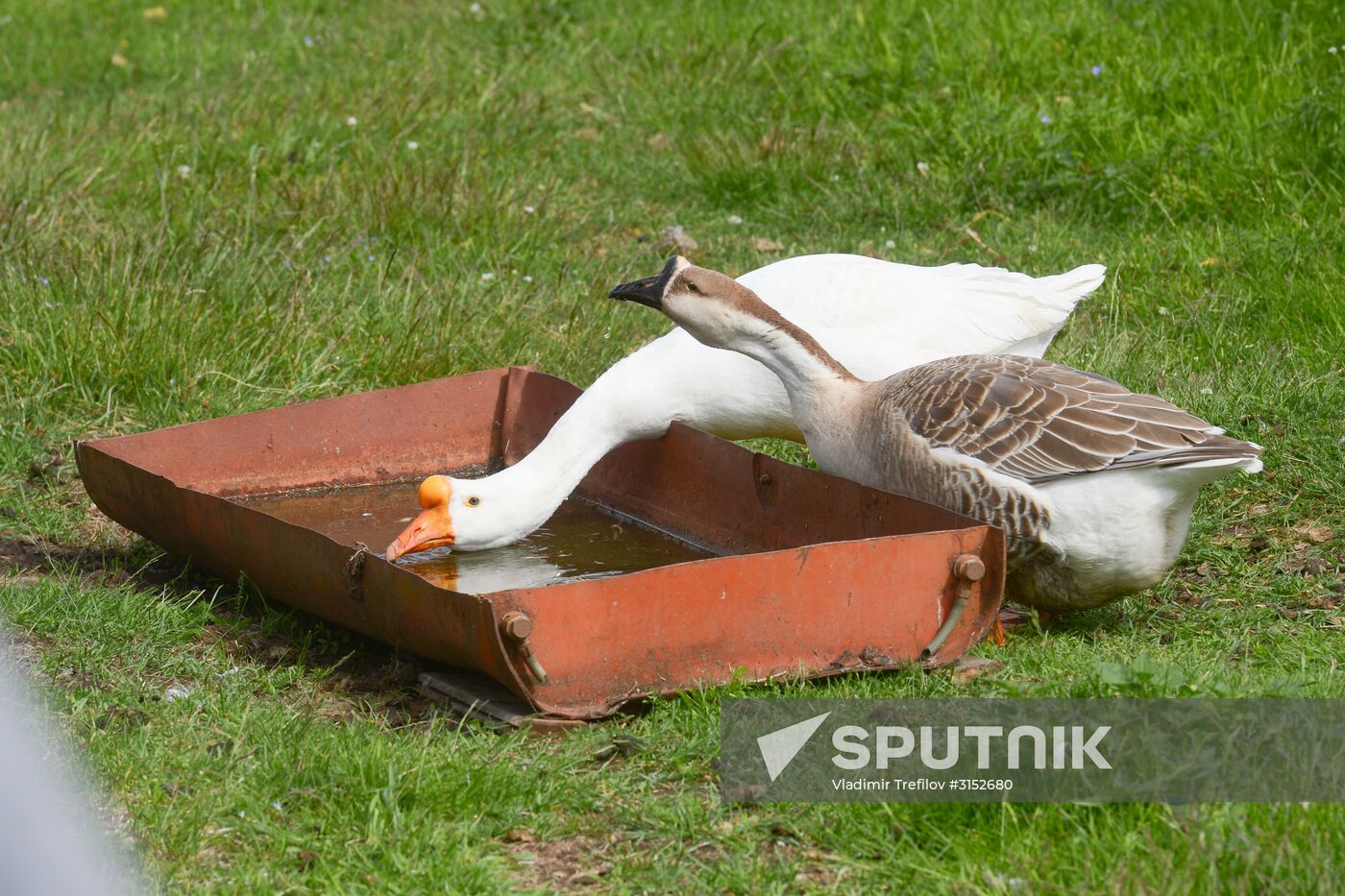 Expedition of Institute for Environmental Issues of the North to White Sea