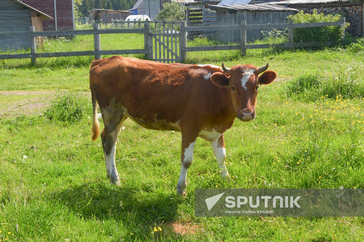 Expedition of Institute for Environmental Issues of the North to White Sea