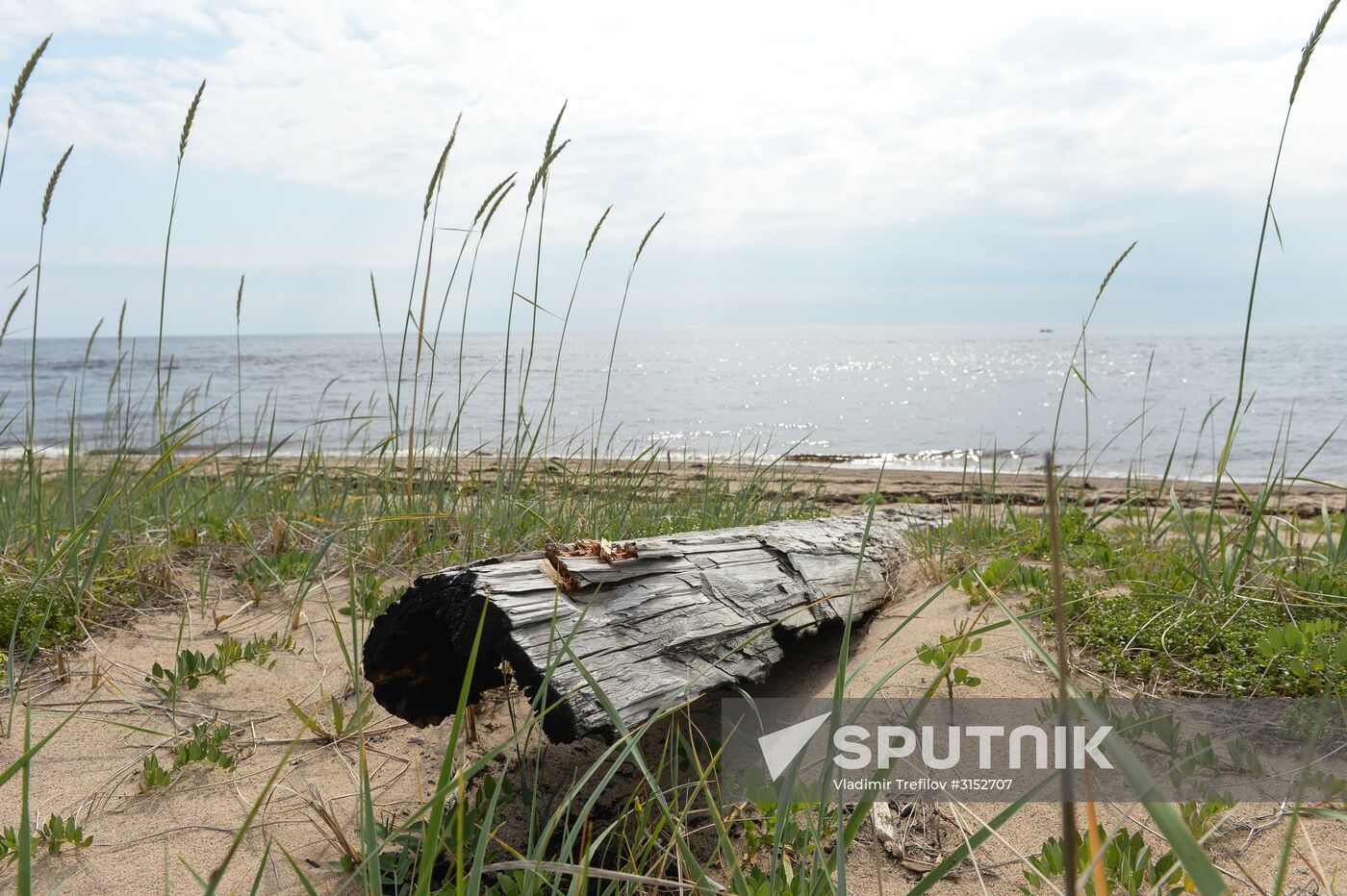 Expedition of Institute for Environmental Issues of the North to White Sea