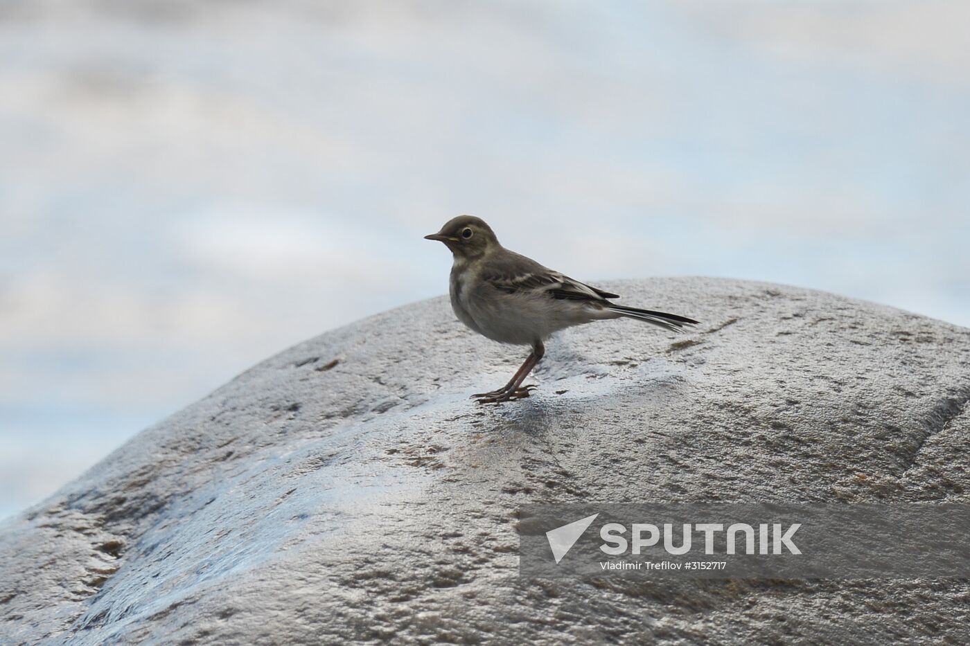 Expedition of Institute for Environmental Issues of the North to White Sea