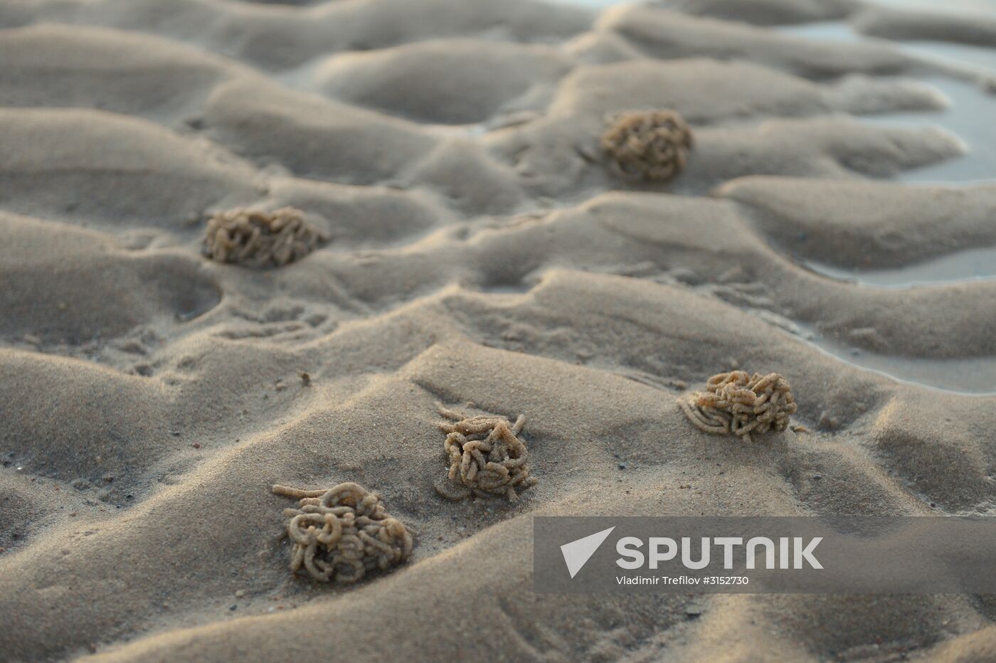 Expedition of Institute for Environmental Issues of the North to White Sea