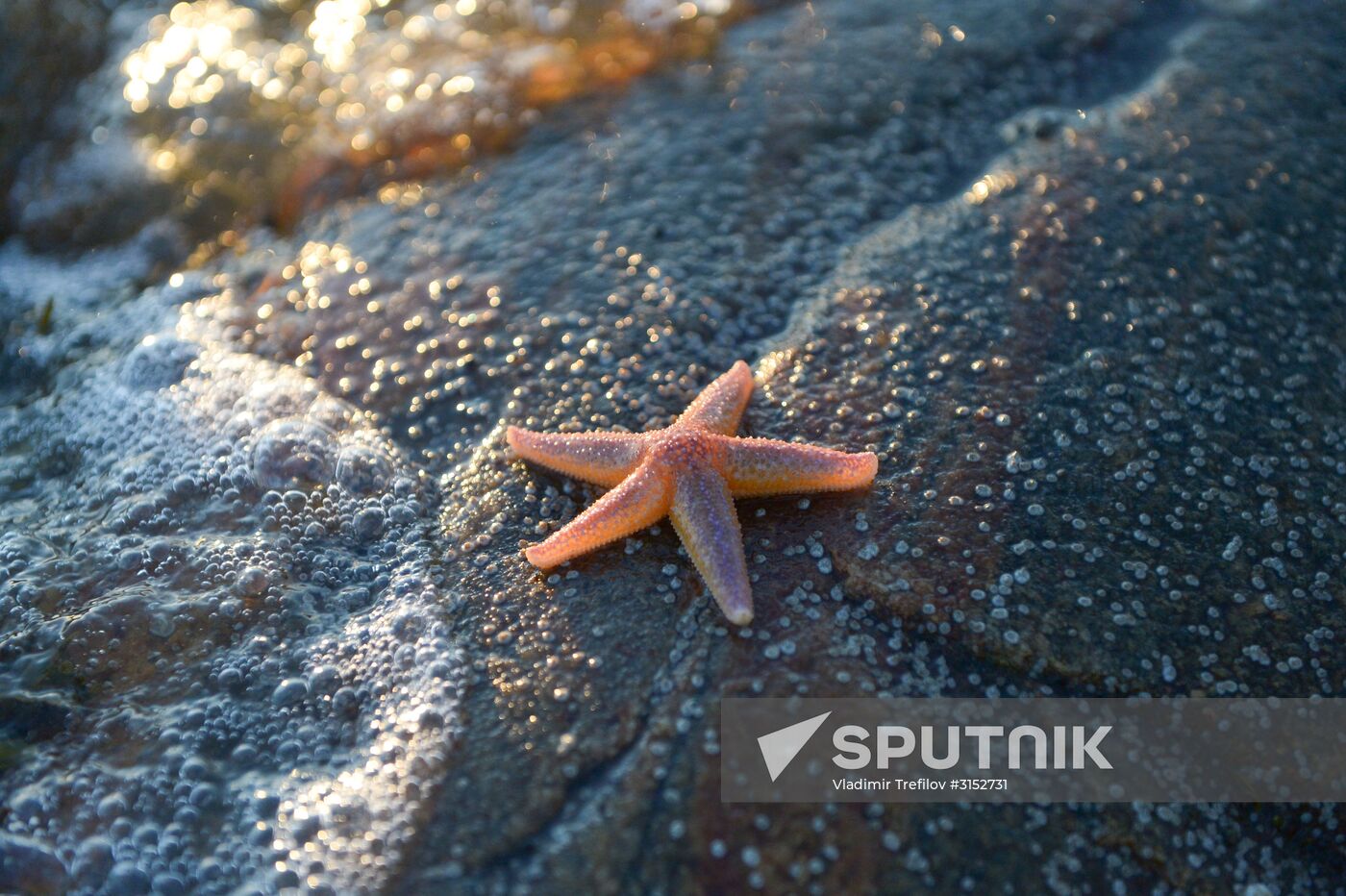 Expedition of Institute for Environmental Issues of the North to White Sea