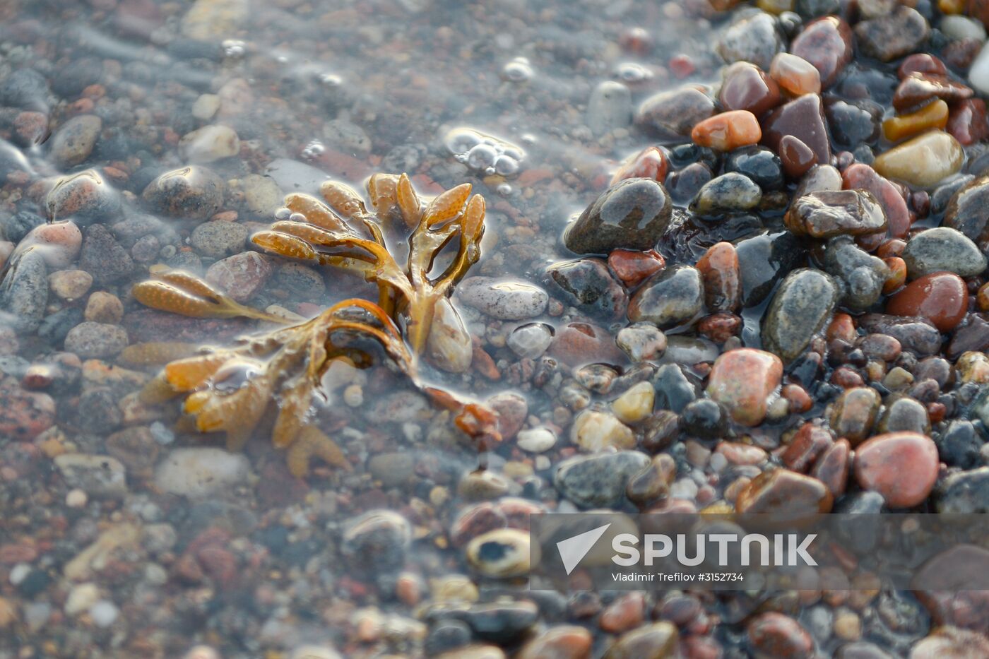 Expedition of Institute for Environmental Issues of the North to White Sea