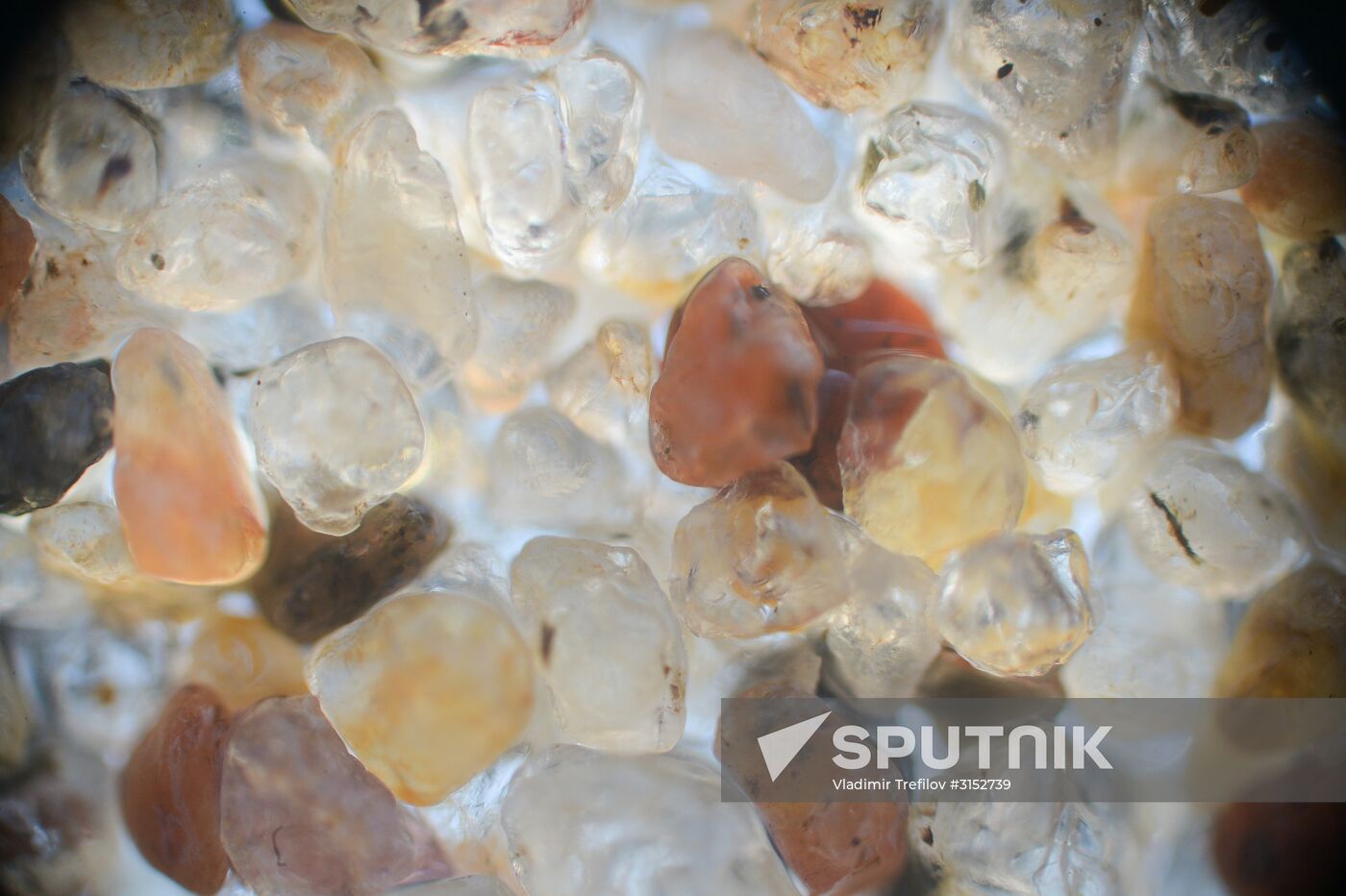 Institute for Environmental Issues of the North expedition to White Sea