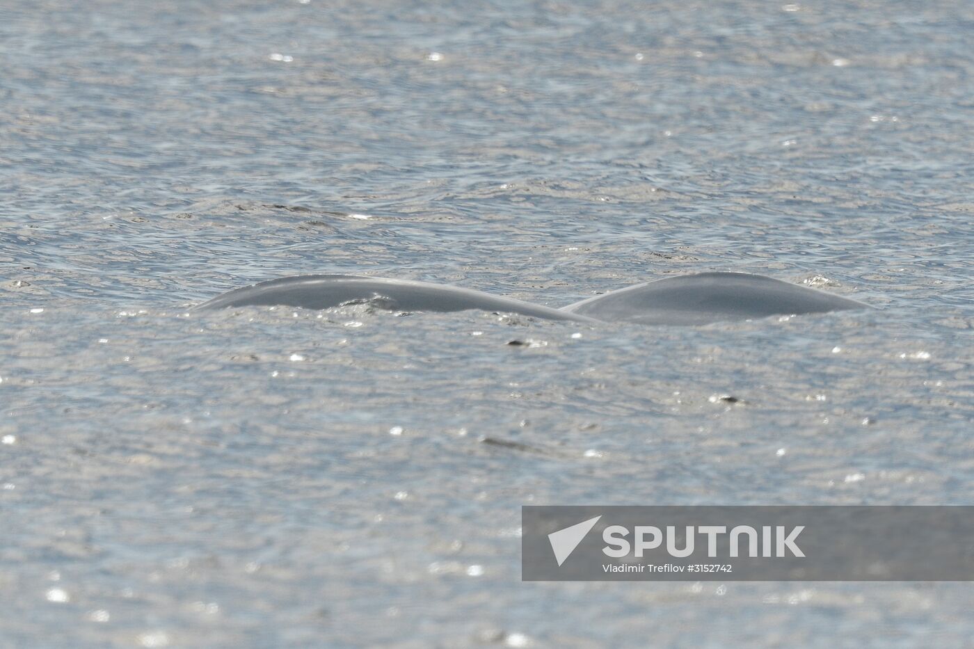 Institute for Environmental Issues of the North expedition to White Sea