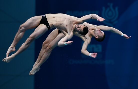 17th FINA World Championships. Men's synchronized 10 m finals