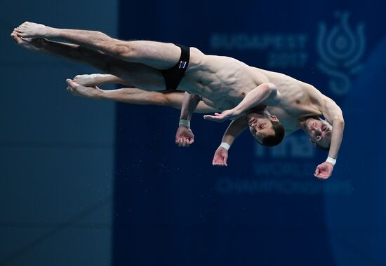 17th FINA World Championships. Men's synchronized 10 m finals