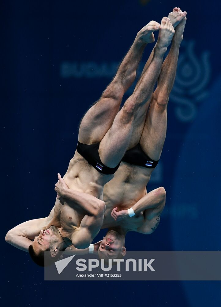 FINA World Masters Championships 2017. Men's 10m synchro platform finals