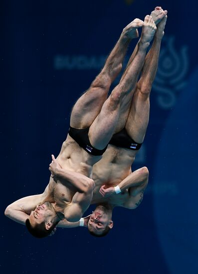 FINA World Masters Championships 2017. Men's 10m synchro platform finals