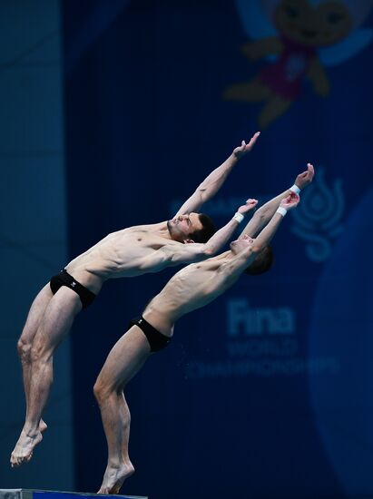 FINA World Masters Championships 2017. Men's synchronized 10m finals