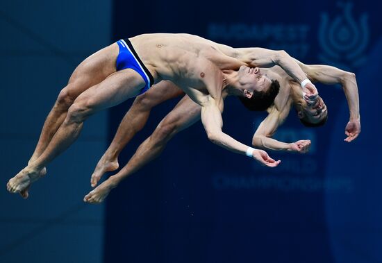 FINA World Masters Championships 2017. Men's synchronized 10m finals