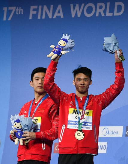 FINA World Masters Championships 2017. Men's synchronized 10m finals