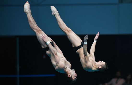 FINA World Masters Championships 2017. Men's synchronized 10m finals