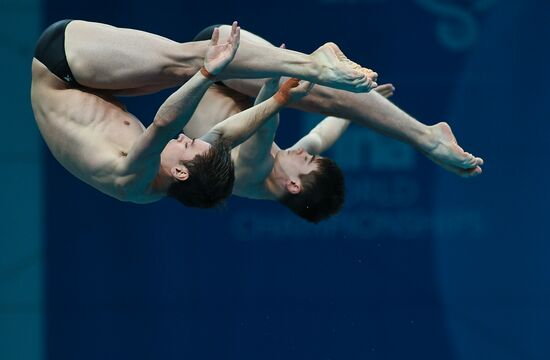 FINA World Masters Championships 2017. Men's synchronized 10m finals