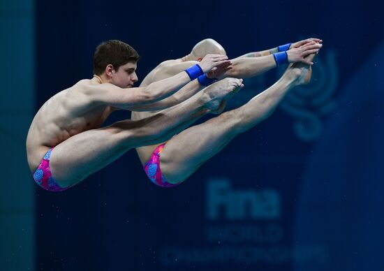 FINA World Masters Championships 2017. Men's synchronized 10m finals