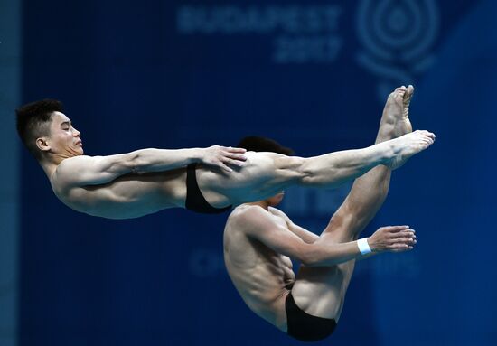 17th FINA World Championships. Men's synchronized 10m finals