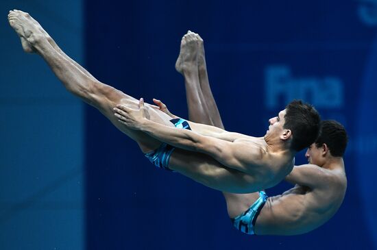 17th FINA World Championships. Men's synchronized 10m finals