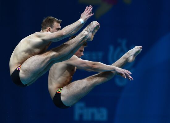 17th FINA World Championships. Men's synchronized 10m finals