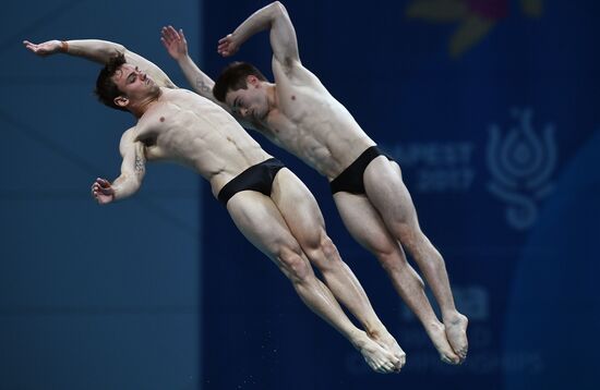 17th FINA World Championships. Men's synchronized 10m finals