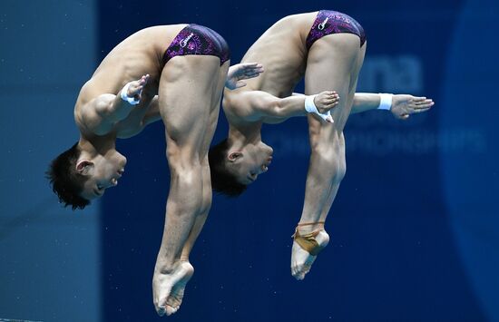 FINA World Masters Championships 2017. Men's synchronized 10m finals