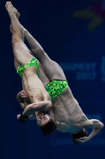 17th FINA World Championships. Men's synchronized 10m finals