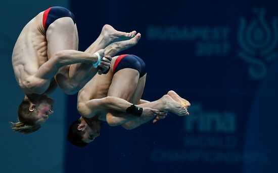 17th FINA World Championships. Men's synchronized 10m finals