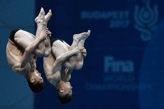 17th FINA World Championships. Men's synchronized 10m finals