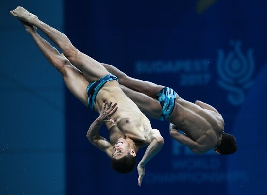 17th FINA World Championships. Men's synchronized 10m finals