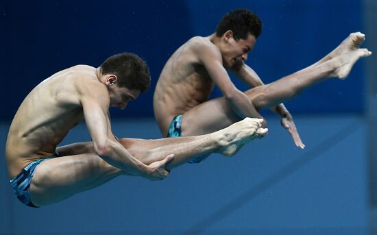 17th FINA World Championships. Men's synchronized 10m finals