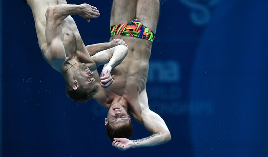 17th FINA World Championships. Men's synchronized 10m finals