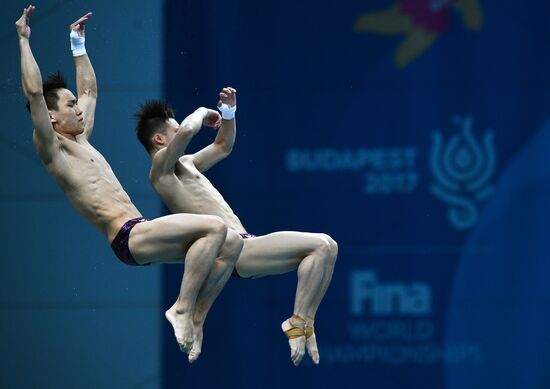 17th FINA World Championships. Men's synchronized 10m finals