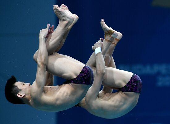 17th FINA World Championships. Men's synchronized 10m finals