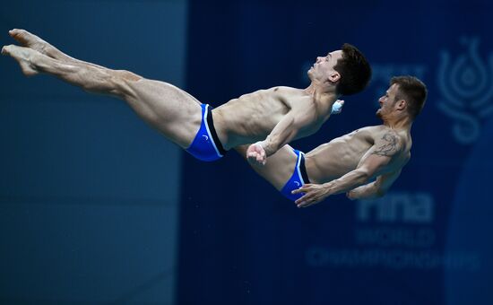 17th FINA World Masters Championships. Men's synchronized 10m platform finals