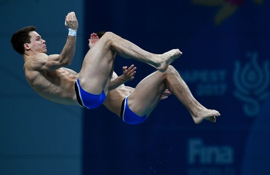 The 17th FINA World Aquatics Championships. Men's 10m platform synchro finals