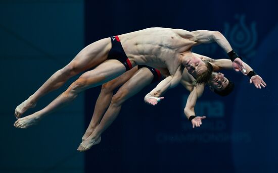 The 17th World Aquatics Championships. Men's 10m platform synchro finals