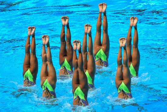 17th FINA World Aquatics Championships. Synchronized swimming. Groups. Technical routine. Finals