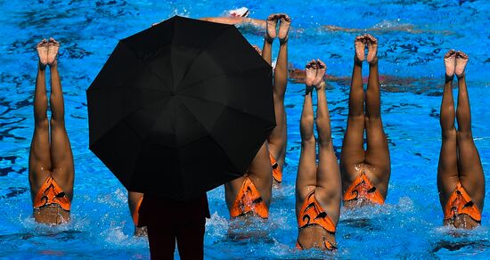 17th FINA World Masters Championships. Synchronized swimming. Groups. Technical routine. Finals
