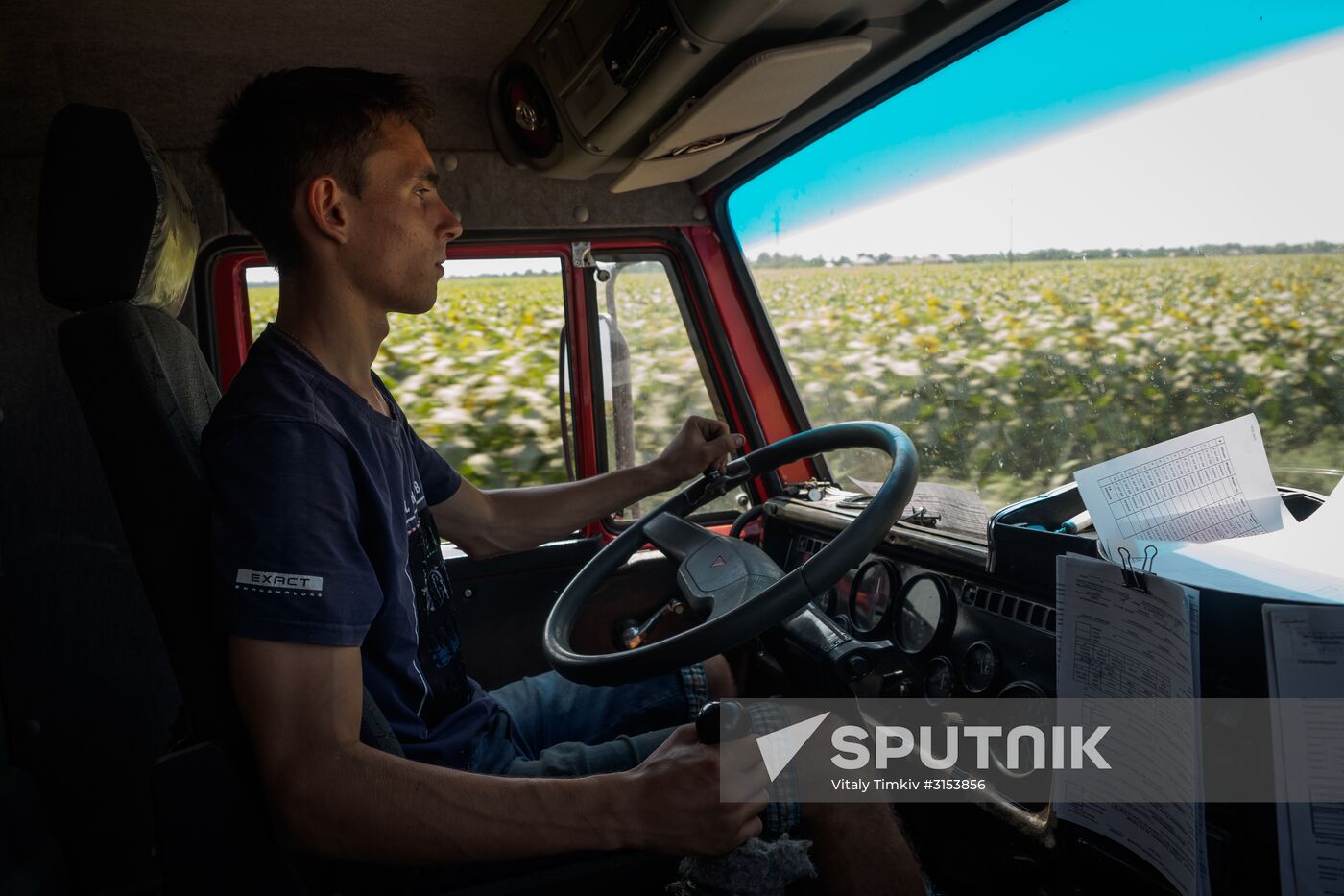 Crops harvest in Krasnodar Territory