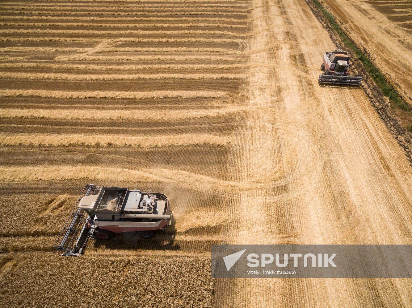 Crops harvest in Krasnodar Territory