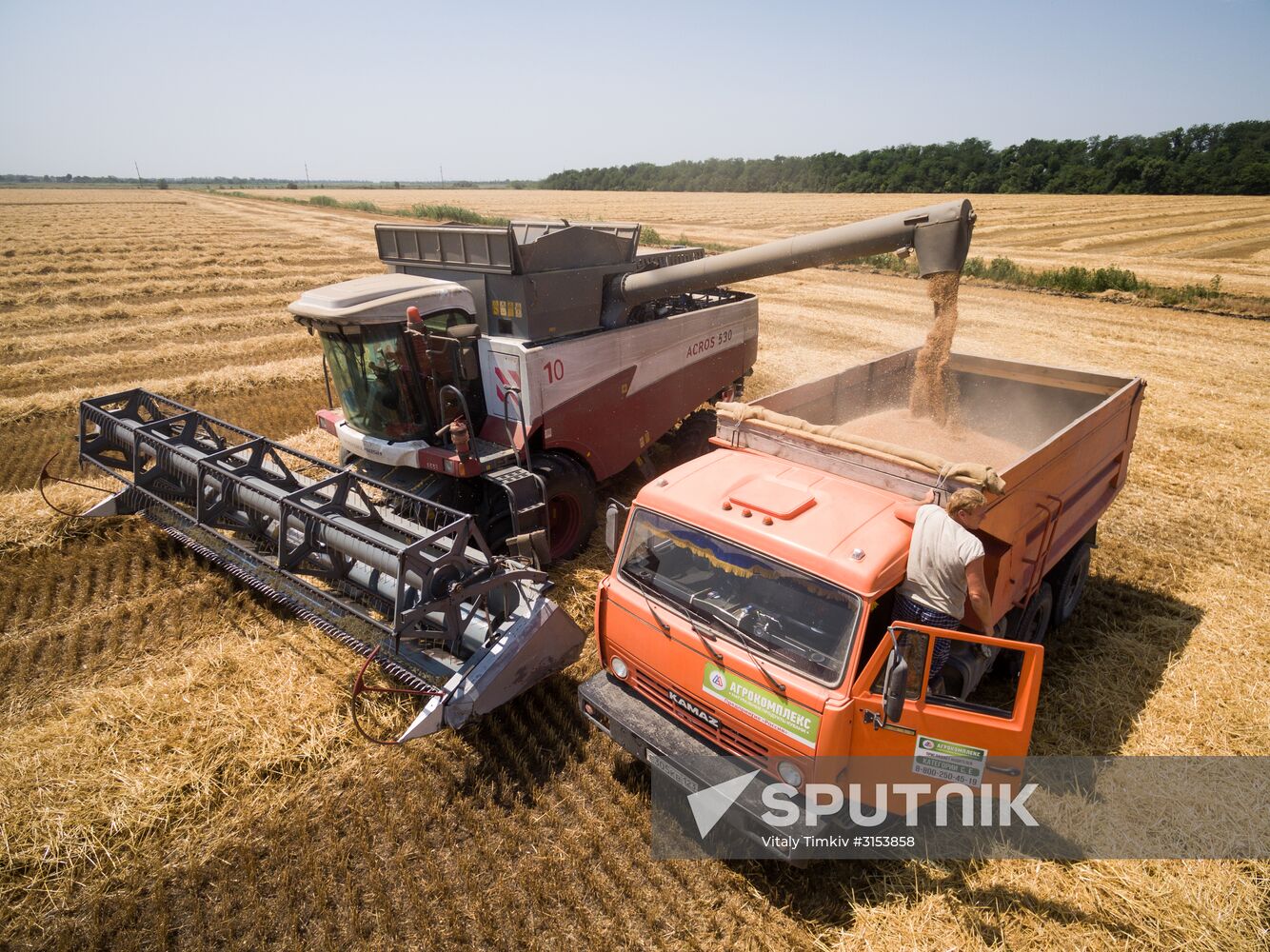 Crops harvest in Krasnodar Territory